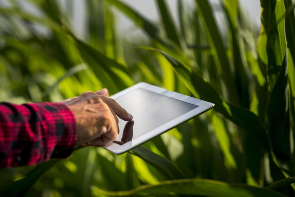 close up man using tablet field 1