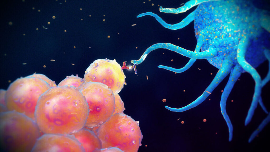 1440 explainer immune system feat 1030x580 1 1