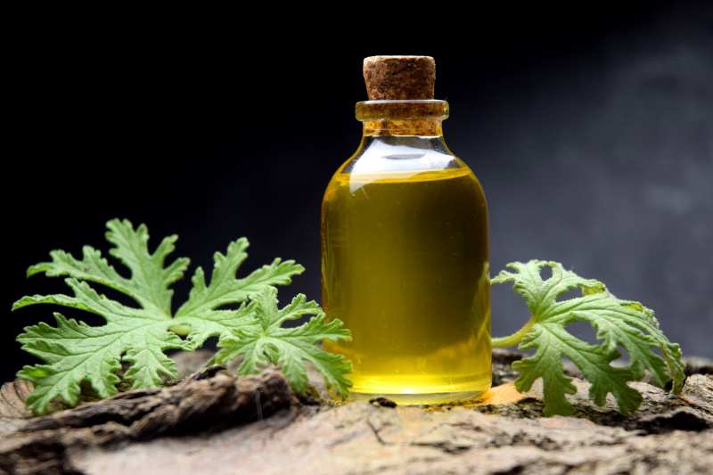 Citronella oil