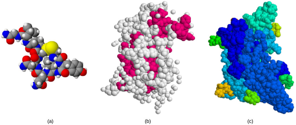 Figure 37 01 03abc 1024x434 1