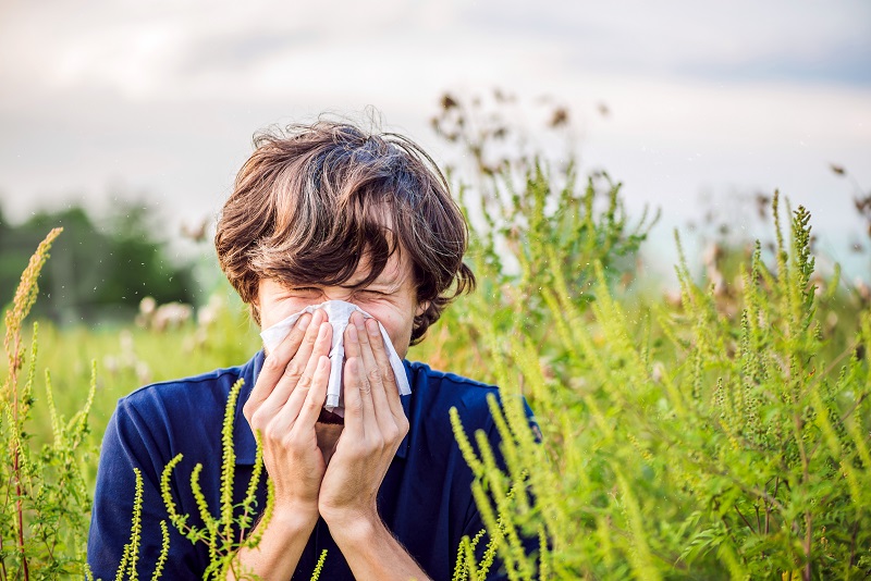 Seasonal allergies 800x533 1