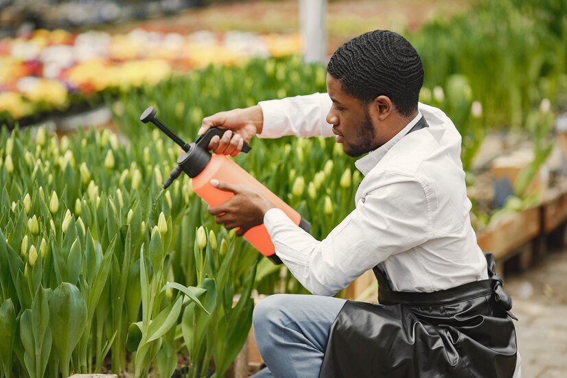 african gardener guy gardener with watering can flower beds 1157 47070