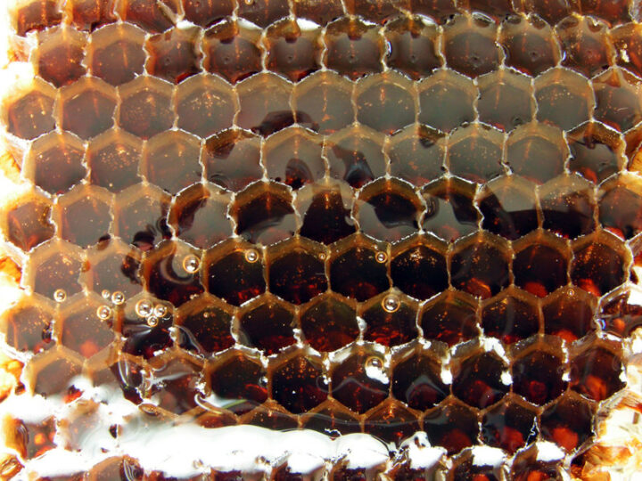 buckwheat honey comb 720x540 1