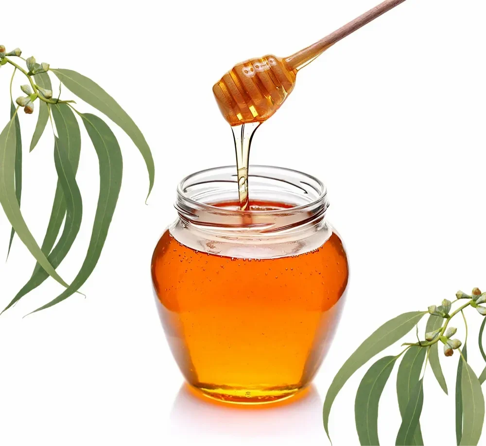 eucalyptus honey nilgiri honey 1000x1000 1