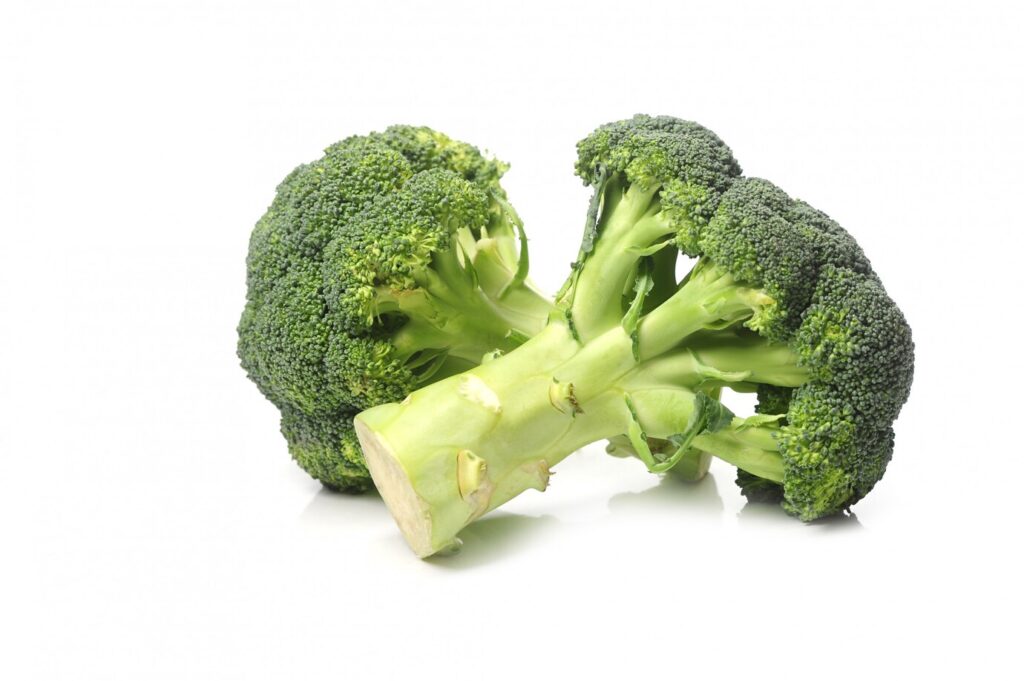 fresh broccoli isolated 144627 30009