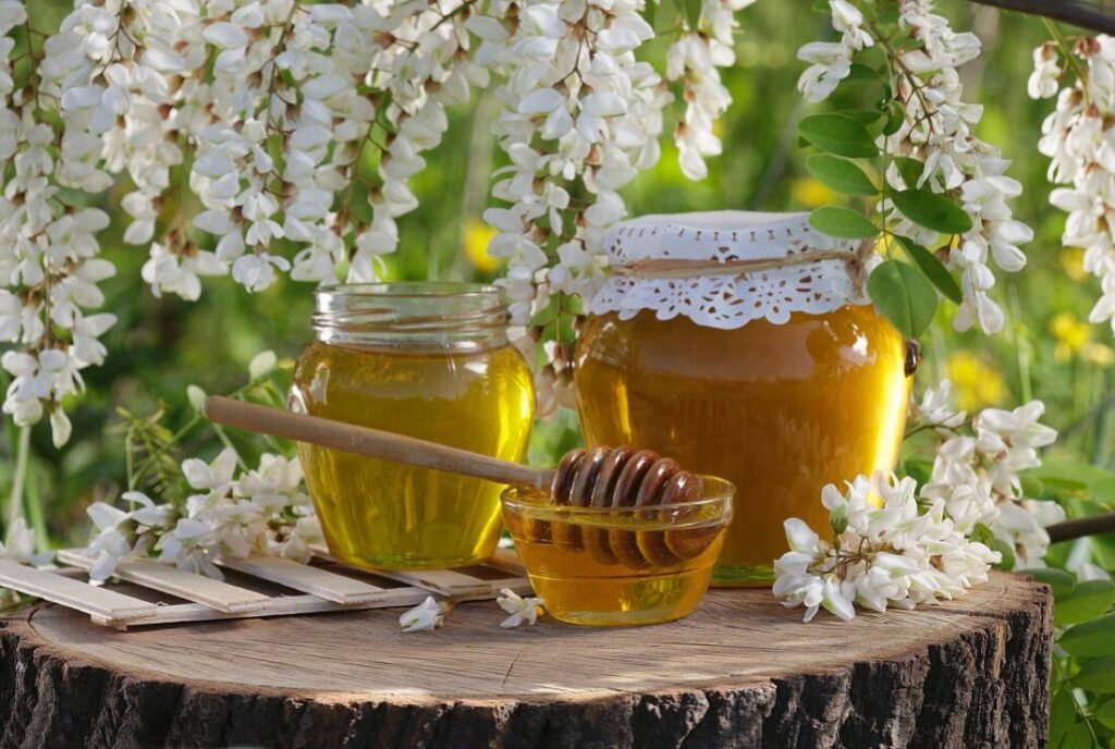 Origins and Benefits of Acacia Honey