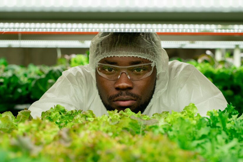 young african male agroengineer protective eyeglasses coveralls looking you while standing by shelf with seedlings green lettuce 274679 17347